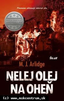 M.J. Arlidge - Nelej olej na oheň