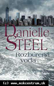 Danielle Steelová - Rozbúrená voda
